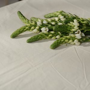 Sunflower & Lavender Mix